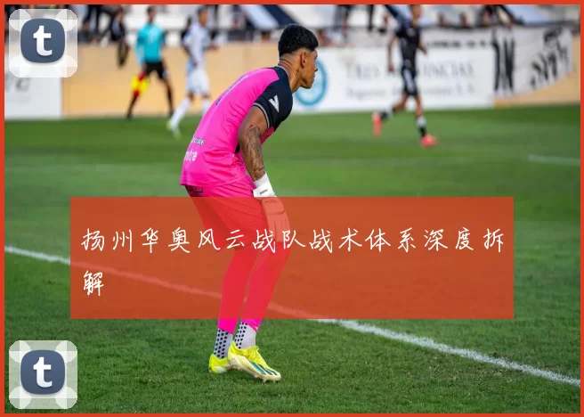 扬州华奥风云战队战术体系深度拆解