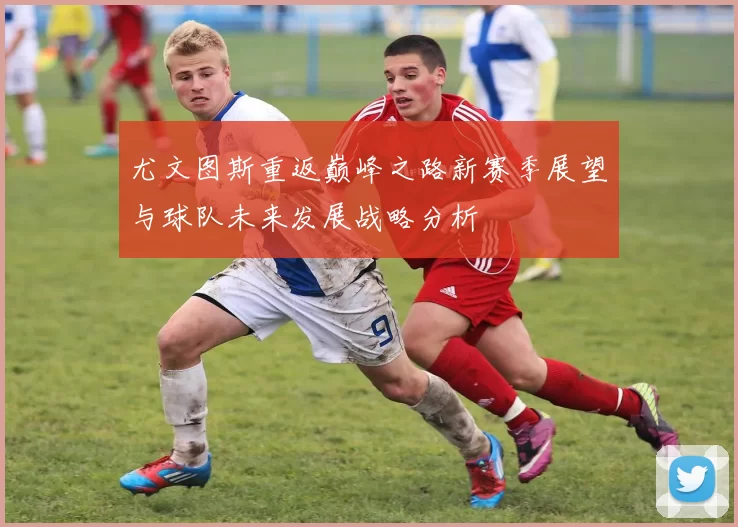 尤文图斯重返巅峰之路新赛季展望与球队未来发展战略分析