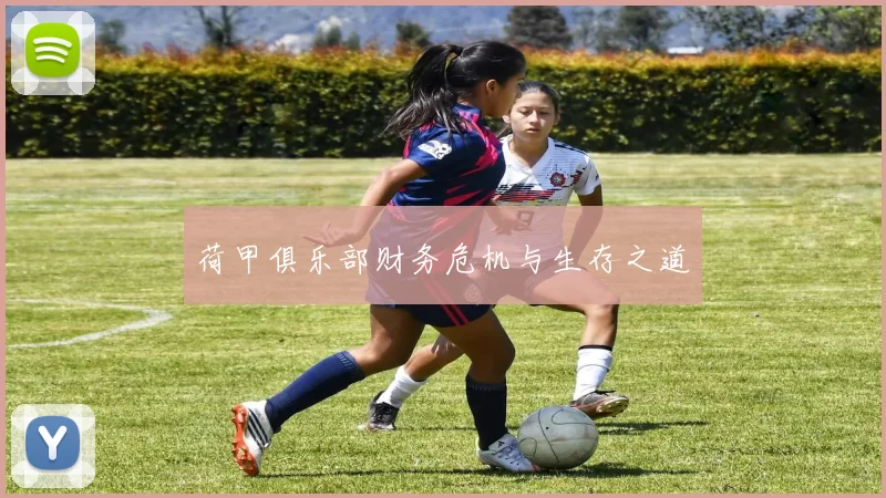 荷甲俱乐部财务危机与生存之道