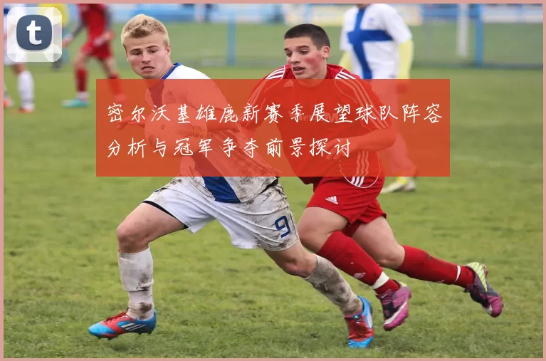 密尔沃基雄鹿新赛季展望球队阵容分析与冠军争夺前景探讨