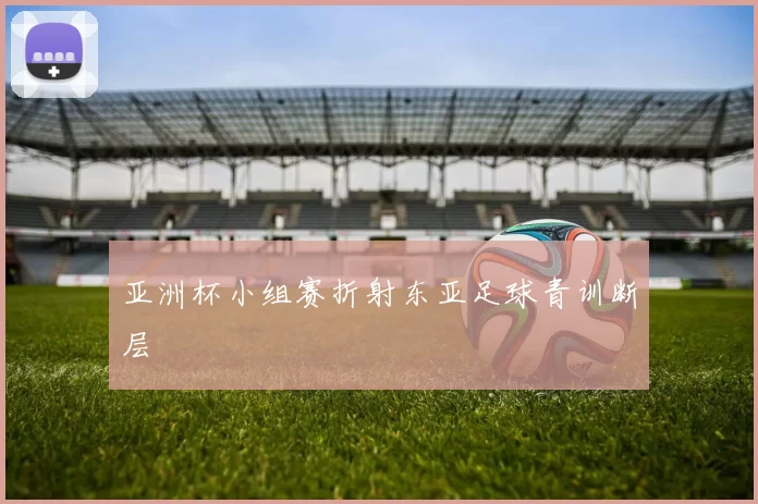 亚洲杯小组赛折射东亚足球青训断层
