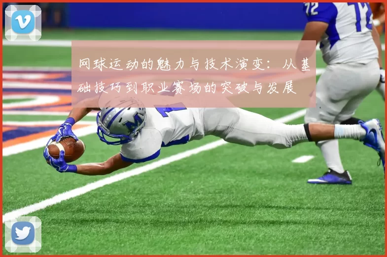 网球运动的魅力与技术演变：从基础技巧到职业赛场的突破与发展