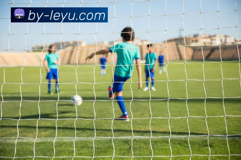 篮球之星：从街头到赛场的传奇人生与无尽梦想